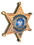 star-fin_clipped_rev_1